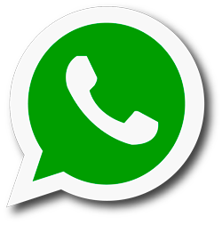Consulta via WhatsApp